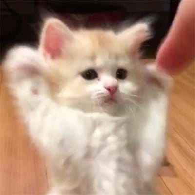 Phạm Thùy Linh avatar